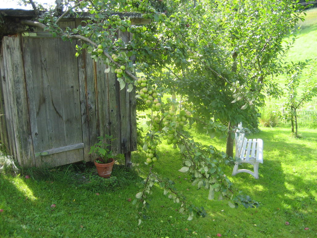 Ferienhaus Troy Doren Exteriör bild