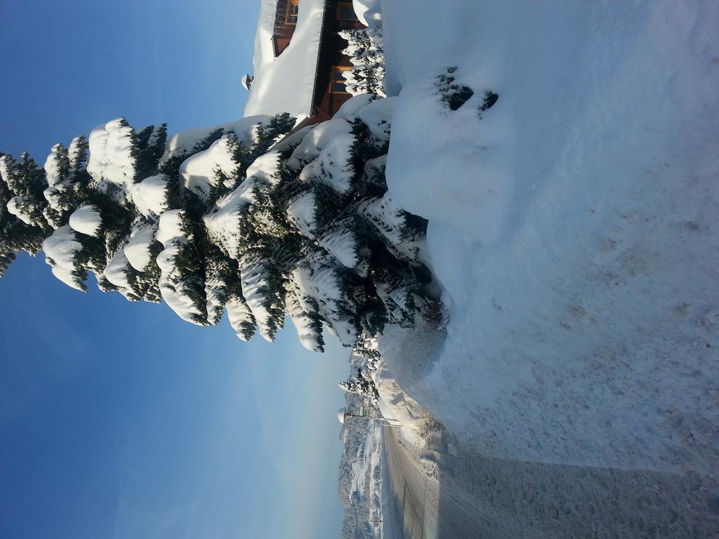 Ferienhaus Troy Doren Rum bild